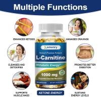 ราคา XEMENRY L-Carnitine Fumarate Capsules, รองรับพลังงานและการเผาผลาญ, ประสิทธิภาพทางออกกําลังกาย (43819189953)