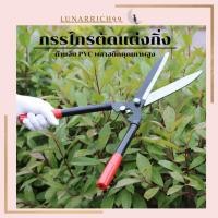 ราคา กรรไกรตัดแต่งกิ่ง กรรไกรตัดกิ่ง กรรไกรตัดหญ้า กิ่งด้ามยาว ด้ามปรับยาวได้ ยืดได้ แต่งกิ่งยาว A2668 (28506778067)