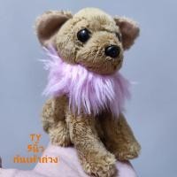 ราคา ตุ๊กตา หมาชิวาว่า สุนัขพันธุ์เล็ก ป้าย TY Beanie Baby - DIVALECTABLE the Chihuahua 5นิ้ว ก้นเท้าถ่วง นั่งได้ ขนสวย (15847070619)