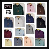 ราคา เสื้อเชิ้ตแขนยาว คอปก ผ้า Oxford สีเทาเข้ม/เหลือง/เขียวอมฟ้า/ชมพู/โอรส มีถึงไซส์ 4XL (1552111976)