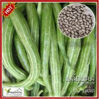 ราคา 10 เมล็ด บวบงู เมล็ดบวบงู เมล็ดบวบ บวบ (29882215010)