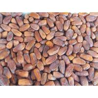 ราคา อินทผาลัมเดทเลทนัวคัดพิเศษ ไร้ก้าน 1 กิโลกรัม (26779832249)