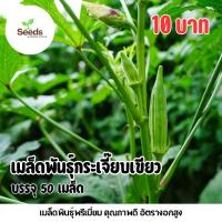 ราคา เมล็ดพันธุ์กระเจี๊ยบเขียว บรรจุ 50 เมล็ด (29656986501)