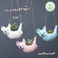 ราคา พร้อมส่งจากไทย กระถางเซรามิกมีโคอาล่ามีเชือกแขวน ใส่กระบองเพชร กระถางต้นไม้ กระถางจิ๋ว กระถางไม้อวบน้ำ (5763014515)