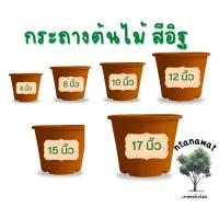 ราคา กระถางต้นไม้ (สีอิฐ) กระถางพลาสติก กระถาง 6 นิ้ว 8 นิ้ว 10 นิ้ว 12 นิ้ว 15 นิ้ว 17 นิ้ว สีอิฐ (27651825858)