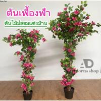 ราคา ต้นเฟื้องฟ้า 2 ขนาด 125/160Cm ต้นไม้ปลอมแต่งบ้านพร้อมกระถาง ต้นไม้ปลอม เฟื้องฟ้า บ้านและสวน(พร้อมส่ง)(FAA) (26957134616)