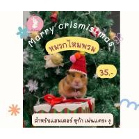 ราคา หมวกไหมพรม สำหรับ ชูก้า เม่นแคระ แฮมเตอร์ และ งุ (26271669607)