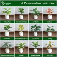 ราคา ต้นไม้มงคล ต้นไม้ปลอม ต้นไม้ประดิษฐ์ ขนาดเล็ก ยอดนิยม 12 แบบให้เลือก ตกแต่งบ้าน ตกแต่งห้อง Minimal (23067552334)