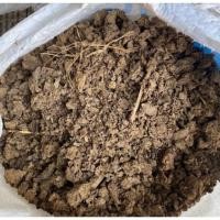 ราคา มูลวัวนมแท้ 100% แบ่งขาย 1 kg (24596109748)