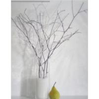 ราคา กิ่งไม้ประดัยาขาวเทาเรียบหรูดูดีเพิ่มความอบอุ่นทุกบรรยากาศ (53300516178)