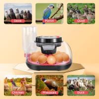 ราคา 【ภายในประเทศ】 ตู้ฟักไข่อัตโนมัติ – ความจุไข่ 12-35 พร้อมเครื่องหมุนอัตโนมัติ, ความชื้นดิจิตอล & อุณหภูมิควบคุมสําหรับไก่/เรือ/ เทอร์คีย์/นกพิราบ (26135953533)