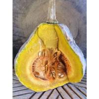 ราคา เมล็ดพันธุ์ฟักทองกระโถน สำหรับปลูก ฟักทองพื้นบ้านน่าน ฟักทองโบราณ (15195704318)