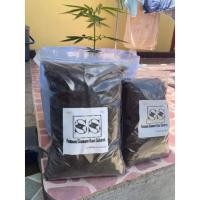 ราคา พีทมอส คลาสแมนเบสซับเทรต414 แบ่งขายขนาด5ลิตร (21635703385)