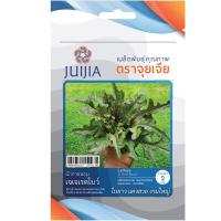 ราคา เมล็ดผักกาดหอมเรดโบว์ (26581033282)