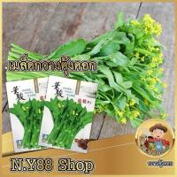 ราคา เมล็ดกวางตุ้งดอก(ซองแบ่ง) 2000-3000เมล็ดผักสวนครัวกวางตุ้งดอก ผักกาดกวางตุ้งกินดอก อัตราการงอกสูง เมล็ดพันธุ์แท้ทำพันธุ์ (7585377289)