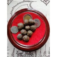 ราคา เหล็กไหลน้ำหรือเหล็กไหลตาน้ำนี้พบในถ้ำจากประเทศลาว1ชุด9เม็ด75กรัม (2442727311)