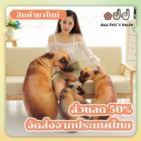ราคา พร้อมส่งจากไทยตุ๊กตาหมาหงอย หมอนหมาเหงา หมอนหมาจ๋อย ขนาด20/50cm ใบใหญ่ สีสวยคมชัด สต็อคแน่น พร้อมส่ง (40754089565)