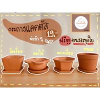 ราคา กระถางแคคตัส กระถางดินเผา (5395845982)