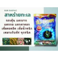 ราคา สาหร่ายทะเลผง100% ซัน ซีแพค 100กรัม เร่งแตกราก แต่งตาดอก เพิ่มน้ำหนัก (15651524724)