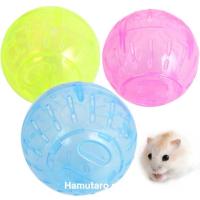 ราคา Hamster Ball Hamster Toy ball ลูกบอลจ๊อกกิ้งหนูแฮมสเตอร์ (45551355460)