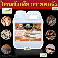 ราคา น้ำยากำจัดปลวกปลวก มด แมลง ทุกชนิด ตายยกรัง!! ขนาด 1 ลิตร ฉีดเดียว (44360437798)
