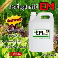 ราคา หัวเชื้อ จุลินทรีย์ อีเอ็ม EM Plus+ ชีวภาพ ขนาด 5 ลิตร ส่งฟรี ส่งของทุกวัน (29425507473)
