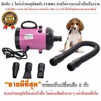 ราคา ไดร์ไล่น้ำหมา ไดร์เป่าขนสุนัข ไดร์เป่าขน 2800W รุ่นใหม่ ไดร์ขนสุนัข ไดร์เป่าขนแมว เครื่องเป่าขน ไดร์ไล่น้ำ (8381564868)