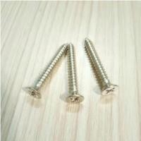 ราคา สกรูเกลียวปล่อย ตะปูเกลียว น็อตเกลียวปล่อย ขนาด6หุน (100ตัว) (707336343)