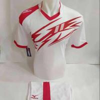 ราคา ชุดกีฬาเสื้อวอลเลย์บอลเสื้อฟุตบอลฟุตซอลเสื้อฟุตบอลชุดวอลเลย์บอลสูท (41155832098)