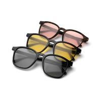 ราคา ENVISZO แว่นกันแดด Quatto (27318224716)