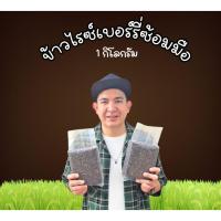 ราคา ข้าวไรซ์เบอร์รี่ซ้อมมือ 1 กก. เหมาะสำหรับผู้รักสุขภาพ (54802718891)