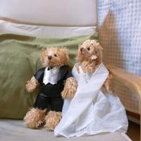 ราคา ตุ๊กตาหมี ใส่ชุดแต่งงาน หมีน่ารัก คู่รัก *พร้อมส่ง* (4169216470)