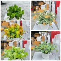 ราคา ต้นไม้ปลอมพร้อมกระถาง กุหลาบหิน ดอกไม้ปลอม ต้นไม้ปลอม (22378735270)