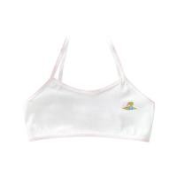 ราคา [จัดส่งภายใน 24 ชม]ชุดชั้นในไร้รอยต่อ สุ่มลาย ผ้าฝ้ายล้วน ลูกไม้ ชุดชั้นในเด็กผู้หญิง แผ่นรองอก (42915427626)