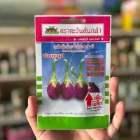 ราคา เมล็ดมะเขือชมพูนุช ตราตะวันต้นกล้า ยกแพค 10 ซอง (27923531543)