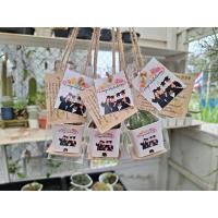 ราคา ของชำร่วยต้นไม้ กระบองเพชรของชำร่วย พร้อมติดสติ๊กเกอร์ที่กระถาง ถุงหิ้ว กระดาษรอง ฟรีป้ายและวิธีดูแล (ขั้นต่ำ 50 ชุด) (28876414874)