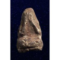 ราคา พระปิดตา ผงคลุกรัก หลวงปู่เอี่ยม วัดหนัง กทม. (19440442617)