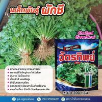 ราคา เมล็ดพันธุ์ผักชีฉัตรทิพย์ ขนาด 300 กรัม (23833014322)