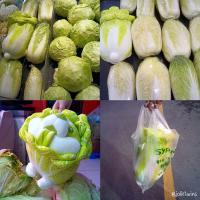 ราคา ตุ๊กตา หมาผักกาด 1 หัว หมาผักกาด สุดตั๊ลล๊าคค ของขวัญเก๋ๆ คนรับถูกใจแน่นอน (20981068196)