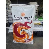 ราคา อาหารกุ้งกุลาดำ-กุ้งขาว โปรตีน 39% โภคา 9071 (เบอร์1-สำหรับกุ้งเล็ก) เกล็ดจม กระสอบ 10 กก. กุ้งกินดี โตไว (28333328032)