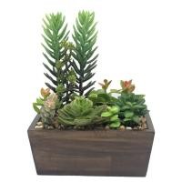 ราคา สวนแคคตัส ต้นไม้ประดิษฐ์พร้อมกระถาง ต้นไม้สวนถาด (4938200047)