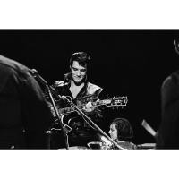 ราคา โปสเตอร์ Elvis Presley เอลวิส เพรสลีย์ Rock and Roll Music Poster ภาพถ่าย รูปภาพติดห้อง ตกแต่งผนัง โปสเตอร์วงดนตรี (6096798984)