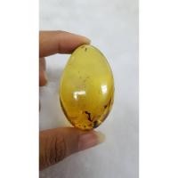 ราคา จี้อำพันพม่าสีเหลืองน้ำผึ้ง มีรูร้อยสร้อย (5636221703)