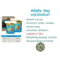 ราคา OXBOW ALFALFA HAY หญ้าอัลฟาฟ่า (29664323337)