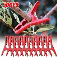 ราคา 10/30/50ชิ้นปรับนํามาใช้ใหม่พืชคลิป |ที่หนีบสวนสนับสนุนเถาวัลย์แข็งแรง | สําหรับการเจริญเติบโตเพื่อสุขภาพ |การจัดระเบียบเครื่องมือคลิปสนับสนุนสาขา (56400954070)