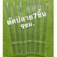 ราคา หลอดแก้วตัดปลาย ยกแพ็ค (มี3รุ่นให้เลือก) วิทยาศาสตร์ (9124529890)