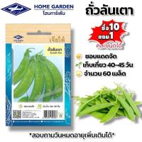 ราคา ถั่วลันเตา #เมล็ดพันธุ์ถั่วลันเตา #เจียไต๋ ผักซอง ผักสวนครัว ผักเจียไต๋ ประมาณ 60 เมล็ด (40626854463)
