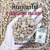 ราคา หินภูเขาไฟ ศรีลาวา No.02 หินพัมมิส SRILAVA LOMBOK PUMICE STONE วัสดุปลูกต้นไม้ หินกรองตู้ปลา (21763939418)