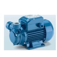 ราคา Pedrollo รุ่นPQ65 ปั๊มน้ำใบพัดฟันเฟือง ใบพัดทองเหลือง 0.75Hp 3 (24619795247)