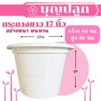ราคา กระถางพลาสติก สีขาว 17 นิ้ว (16896076115)